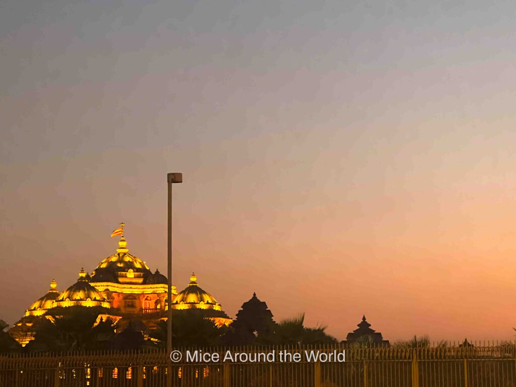 what to do in Delhi India Mice Around the World