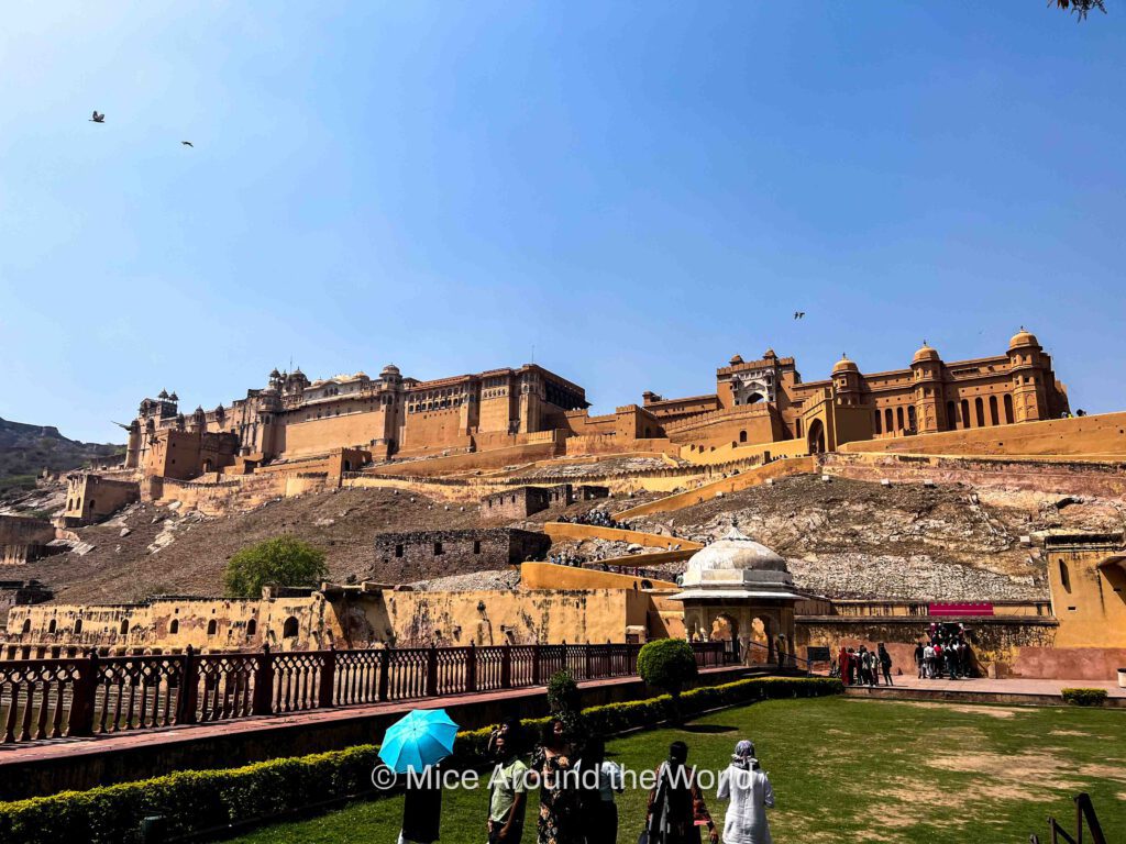 what to do in the pink city Jaipur in India Mice Around the World