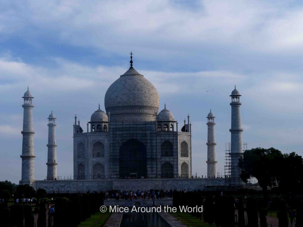 what to do in Agra India Mice Around the World