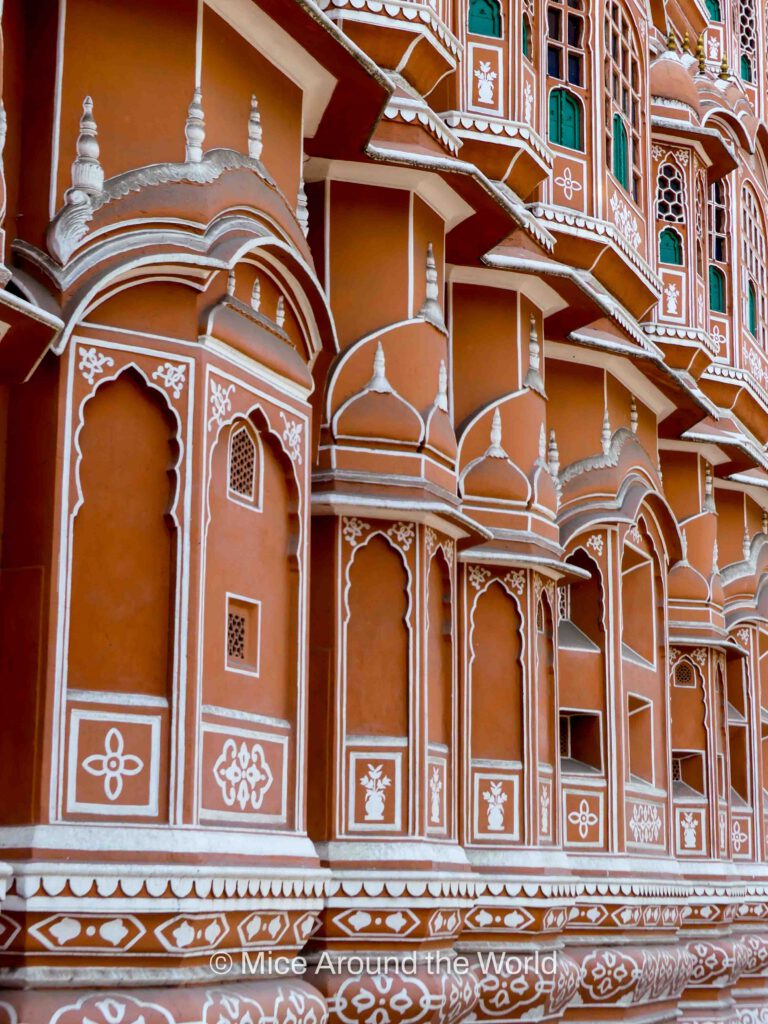 what to do in the pink city Jaipur India Mice Around the World